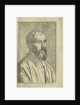 Portrait of Marco Mantova Benavides, 1555 by Anonymous
