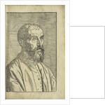 Portrait of Marco Mantova Benavides, 1555 by Anonymous