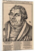 Portrait of Martin Luther, 1546 by Anonymous