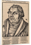 Portrait of Martin Luther, 1546 by Anonymous