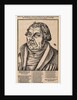 Portrait of Martin Luther, 1546 by Anonymous