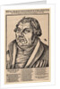 Portrait of Martin Luther, 1546 by Anonymous