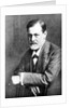 Portrait of Sigmund Freud, 1909 by Anonymous
