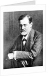 Portrait of Sigmund Freud, 1909 by Anonymous