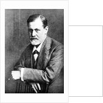 Portrait of Sigmund Freud, 1909 by Anonymous