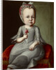 Portrait of Sophia Elizabeth von Brukenthal, c. 1790 by Anonymous