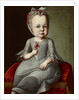 Portrait of Sophia Elizabeth von Brukenthal, c. 1790 by Anonymous