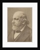 Portrait of the composer Ferdinand von Hiller, 1880 by Anonymous