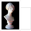 Princess Wilhelmine of Courland, Duchess of Sagan , 1818 by Anonymous