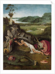 Saint Jerome in the Wilderness, c. 1490 by Anonymous