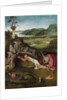 Saint Jerome in the Wilderness, c. 1490 by Anonymous