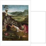 Saint Jerome in the Wilderness, c. 1490 by Anonymous