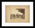 Slaves working in the sweet potato fields on the Hopkinson plantation, 1862 by Anonymous