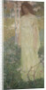 Spring, 1903 by Anonymous