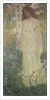 Spring, 1903 by Anonymous