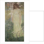 Spring, 1903 by Anonymous