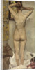 Standing Nude, 1893 by Anonymous