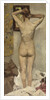 Standing Nude, 1893 by Anonymous