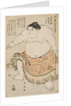 Sumo Wrestler Daidozan Bungoro at the age of 7, by Anonymous