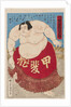 Sumo wrestler Kaidyo Taro, at the age of 15, 1887 by Anonymous
