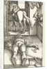 The Bewitched Stableboy, 1544 by Anonymous