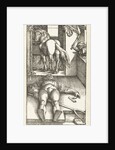 The Bewitched Stableboy, 1544 by Anonymous