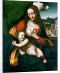 The Madonna and Child, c. 1520 by Anonymous