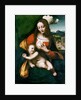 The Madonna and Child, c. 1520 by Anonymous