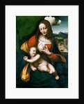The Madonna and Child, c. 1520 by Anonymous