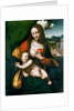 The Madonna and Child, c. 1520 by Anonymous