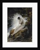 The Maidens Lament (Plaintes de la jeune fille), 1830s by Anonymous