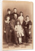 The Romanovs: The Family of the Emperor Alexander III, 1888 by Anonymous