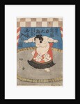 The wrestler Hidenoyama Raigoro, wearing an apron (kesho-mawashi), 1850s by Anonymous