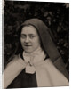 Thérèse of Lisieux, 1894 by Anonymous
