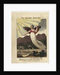 Title page from The Butterflys Birthday, St. Valentines Day, and Madam Whales Ball, 1808 by Anonymous