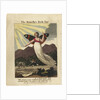 Title page from The Butterflys Birthday, St. Valentines Day, and Madam Whales Ball, 1808 by Anonymous