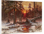 Winter sunset in a Pine Forest, 1898 by Anonymous
