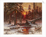 Winter sunset in a Pine Forest, 1898 by Anonymous