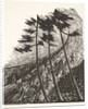 Illustration from Styl, pub. 1922 by Anonymous