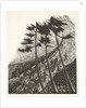 Illustration from Styl, pub. 1922 by Anonymous