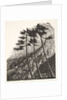 Illustration from Styl, pub. 1922 by Anonymous