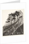 Illustration from Styl, pub. 1922 by Anonymous