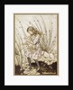It grunted again so violently that she looked down into its face in some alarm, 1907 by Anonymous