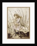 It grunted again so violently that she looked down into its face in some alarm, 1907 by Anonymous