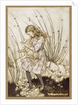 It grunted again so violently that she looked down into its face in some alarm, 1907 by Anonymous