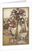 The Queen turned angrily away from him and said to the Knave, Turn them over, 1907 by Anonymous