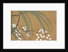 Yanagi Sakura by Anonymous
