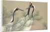 Tsuru by Anonymous