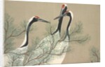 Tsuru by Anonymous