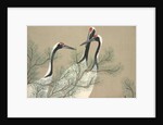 Tsuru by Anonymous
